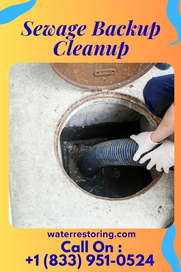 Sewage Backup Cleanup in Briarcliff, AR